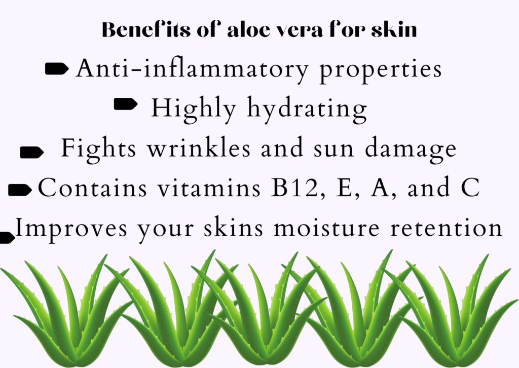 Aloe Vera Benefits For Your Skin 10 Benefits Of This Natural Moisturizing Antioxidant 5797