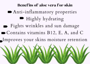 aloe vera benefits for your skin